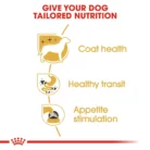 royal-canin-chihuahua-life