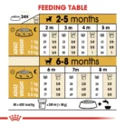 royal-canin-chihuahua-puppy-feeding-table
