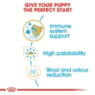 royal-canin-chihuahua-puppy-life-stage