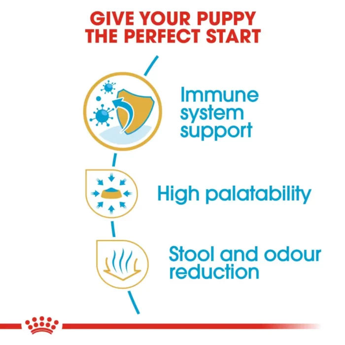 royal-canin-chihuahua-puppy-life-stage royal-canin-chihuahua-puppy-life-stage
