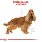 royal-canin-cocker-adult