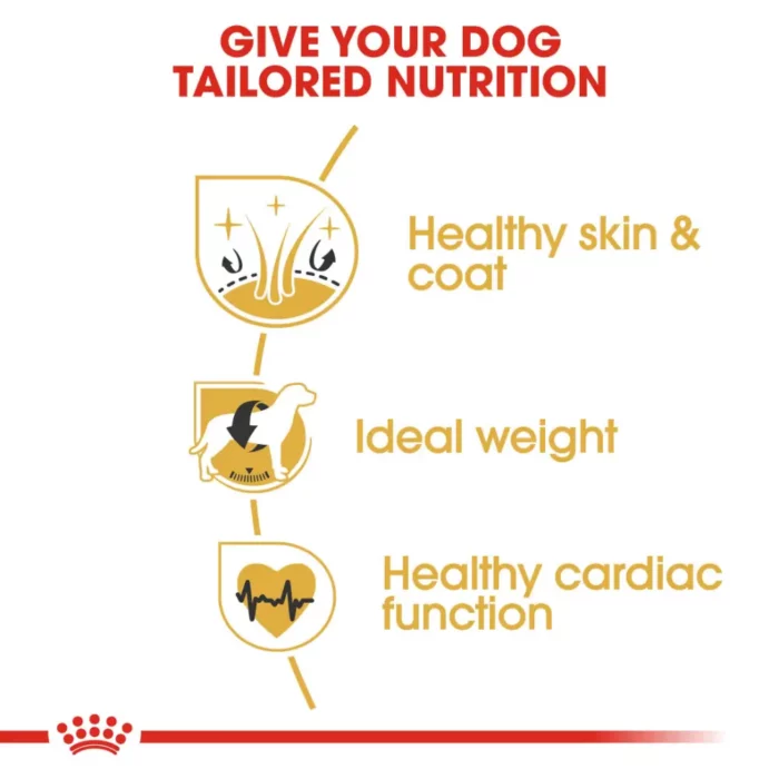 royal-canin-cocker-adult-life royal-canin-cocker-adult-life