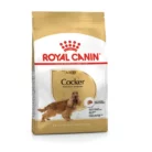 Royal Canin Cocker Spaniel Adult Dry Dog Food