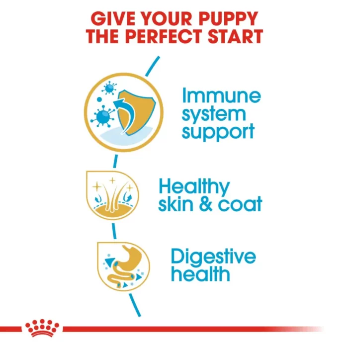 royal-canin-cocker-puppy-04 royal-canin-cocker-puppy-04
