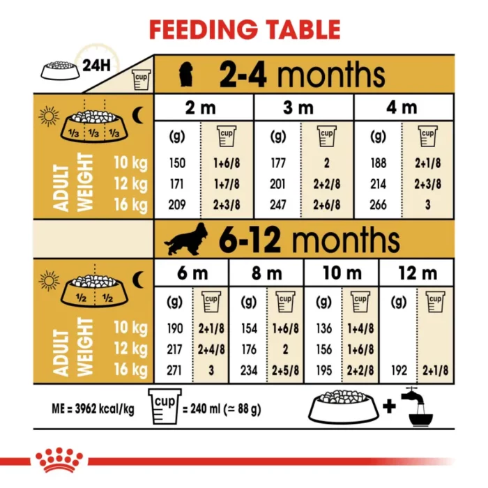 royal-canin-cocker-puppy-feeding-table royal-canin-cocker-puppy-feeding-table