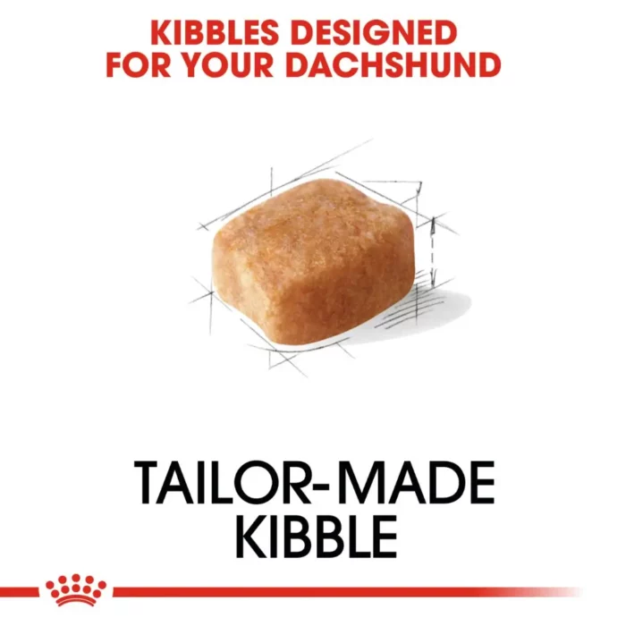 royal-canin-dachshund-adult-kibble royal-canin-dachshund-adult-kibble