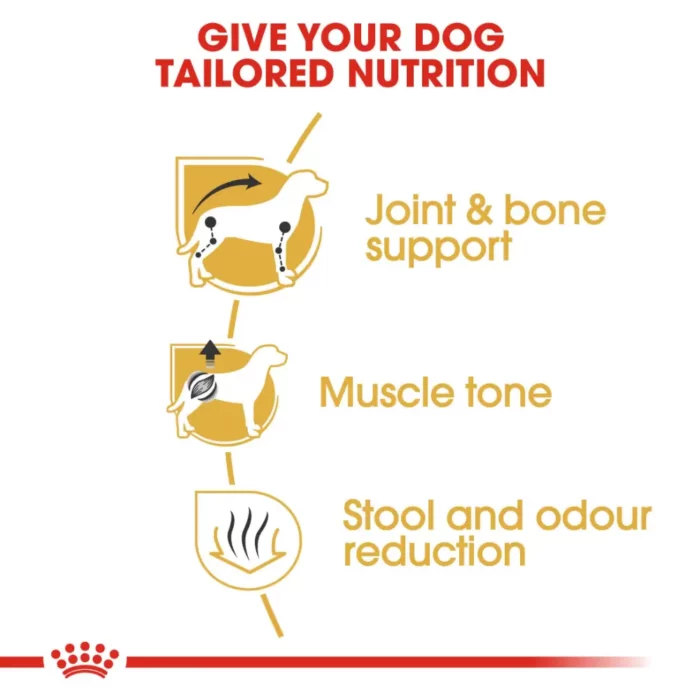 royal-canin-dachshund-adult-nutrition royal-canin-dachshund-adult-nutrition