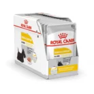 royal-canin-dermacomfort-wet-food-pouch-pet-heaven_1
