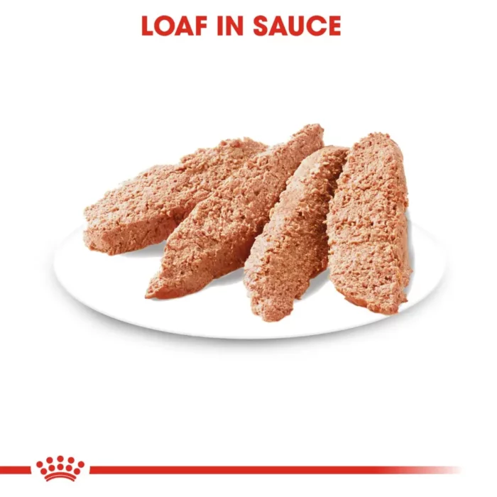 royal-canin-digestive-care-food-loaf royal-canin-digestive-care-food-loaf