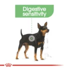 royal-canin-digestive-care-minature-doberman
