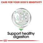 royal-canin-digestive-care-support-healthy-digestion
