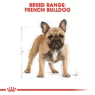 royal-canin-french-bulldog-adult