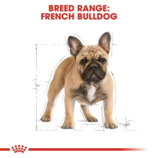 royal-canin-french-bulldog-adult royal-canin-french-bulldog-adult