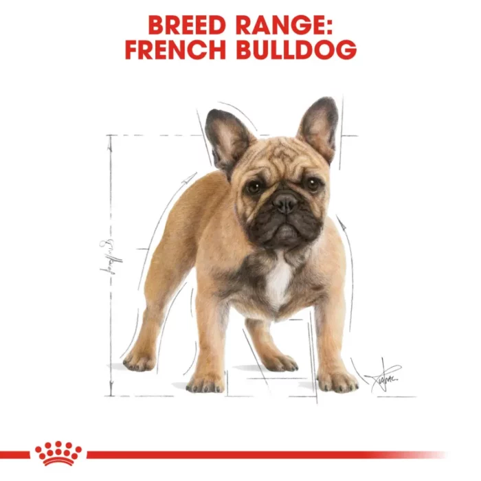 royal-canin-french-bulldog-adult royal-canin-french-bulldog-adult