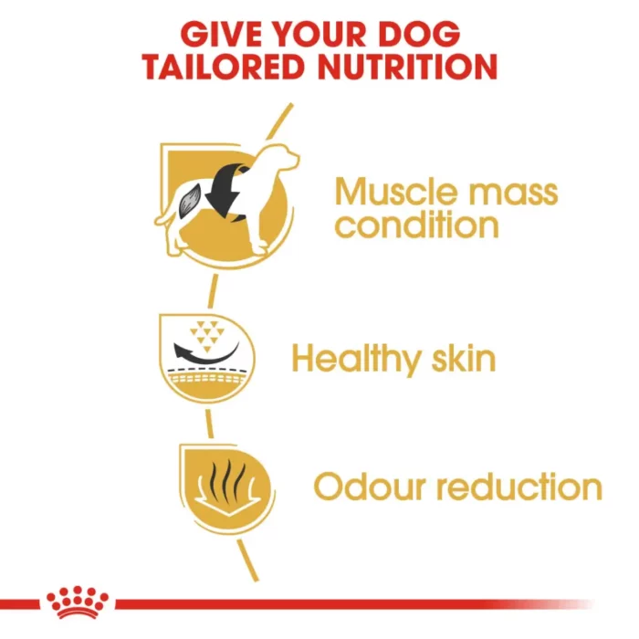 royal-canin-french-bulldog-adult-nutrition royal-canin-french-bulldog-adult-nutrition