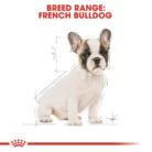 royal-canin-french-bulldog-puppy