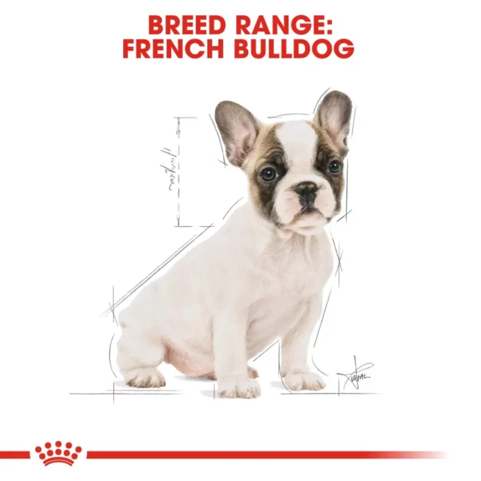 royal-canin-french-bulldog-puppy royal-canin-french-bulldog-puppy