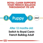 royal-canin-french-bulldog-puppy-life