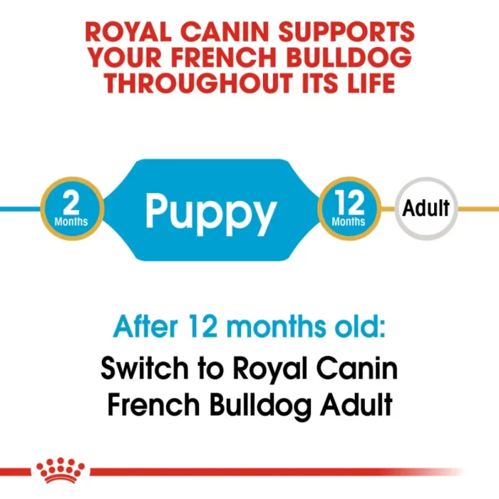 royal-canin-french-bulldog-puppy-life royal-canin-french-bulldog-puppy-life