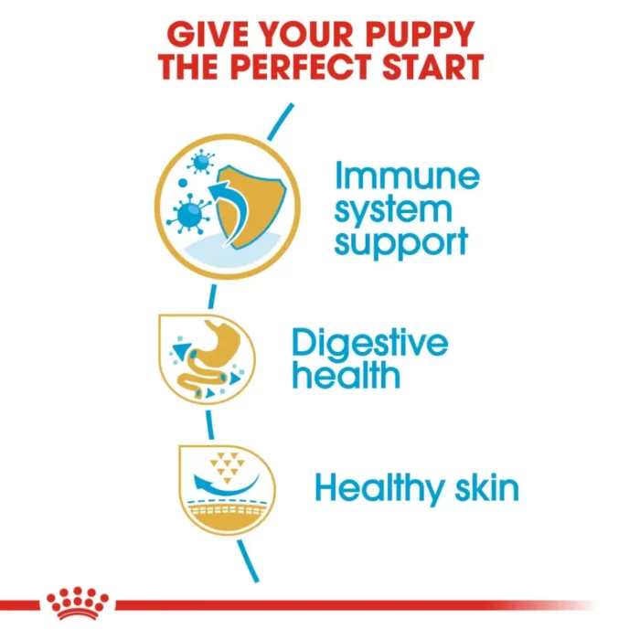 royal-canin-french-bulldog-puppy-nutrition royal-canin-french-bulldog-puppy-nutrition