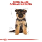 royal-canin-german-shepherd-puppy