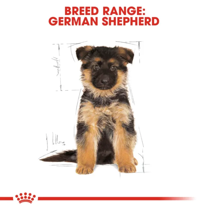 royal-canin-german-shepherd-puppy royal-canin-german-shepherd-puppy