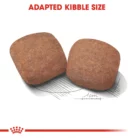 royal-canin-giant-adult-kibble
