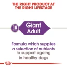 royal-canin-giant-adult-lifestage-transition