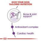 royal-canin-giant-adult-nutrition