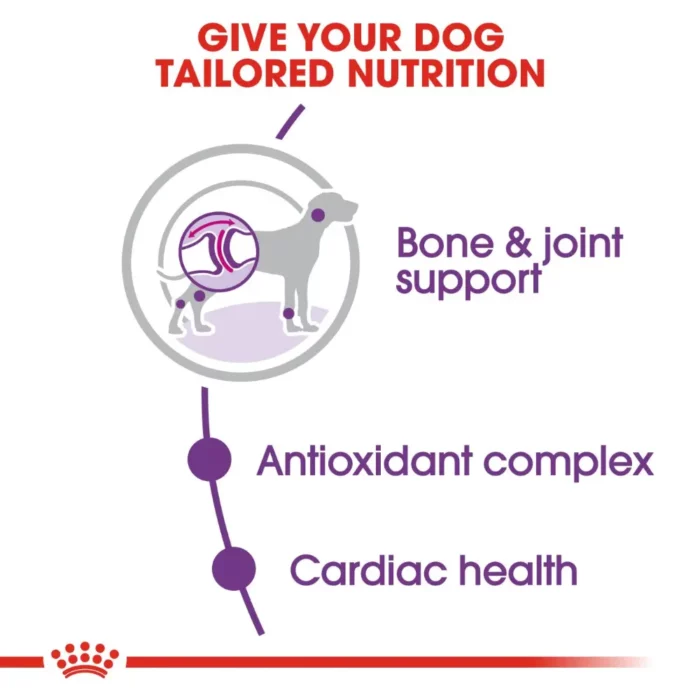 royal-canin-giant-adult-nutrition royal-canin-giant-adult-nutrition