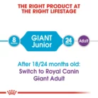 royal-canin-giant-junior-food-transitioning