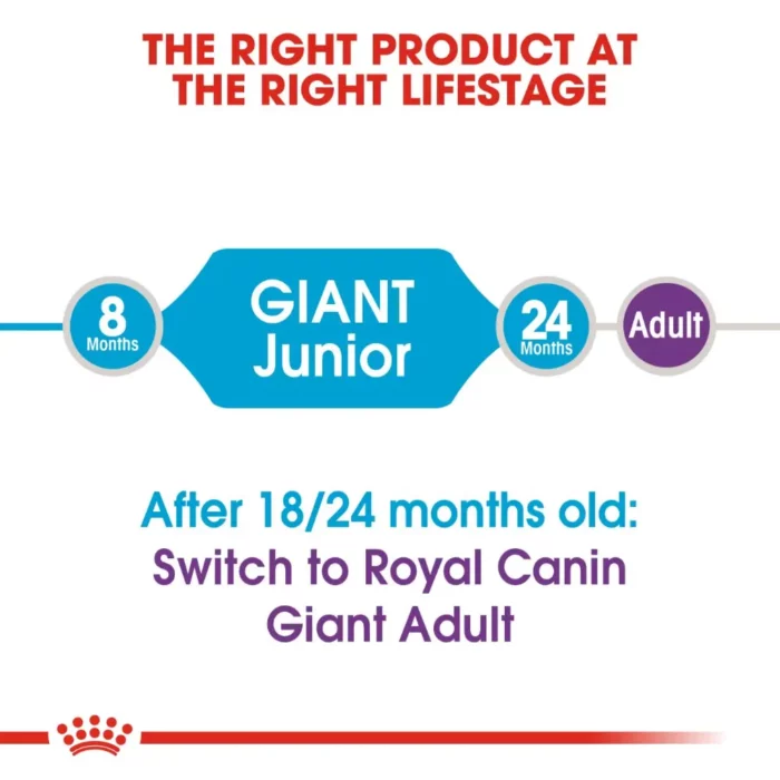 royal-canin-giant-junior-food-transitioning royal-canin-giant-junior-food-transitioning