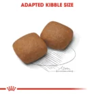 royal-canin-giant-junior-kibble
