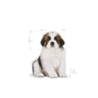 royal-canin-giant-puppy