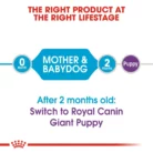royal-canin-giant-starter-lifestage-transitioning