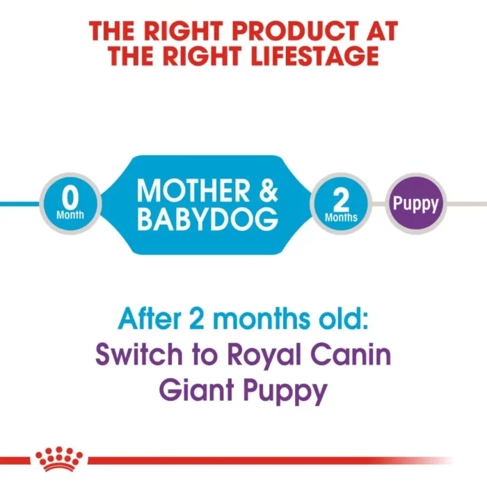 royal-canin-giant-starter-lifestage-transitioning royal-canin-giant-starter-lifestage-transitioning