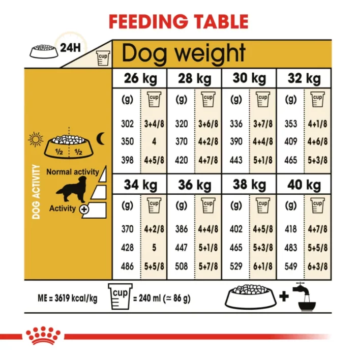 royal-canin-golden-retriever-adult-feeding-table royal-canin-golden-retriever-adult-feeding-table