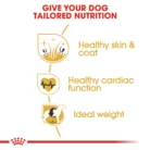 royal-canin-golden-retriever-adult-nutrition