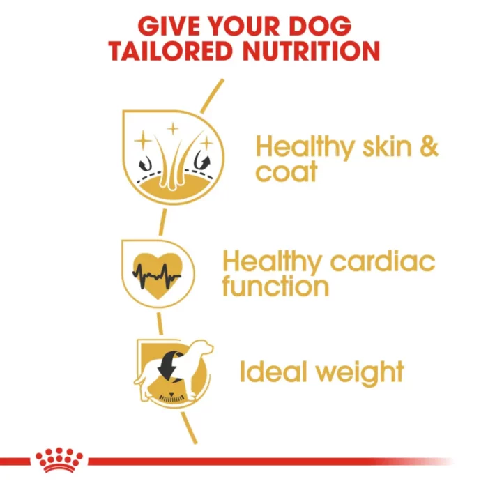 royal-canin-golden-retriever-adult-nutrition royal-canin-golden-retriever-adult-nutrition