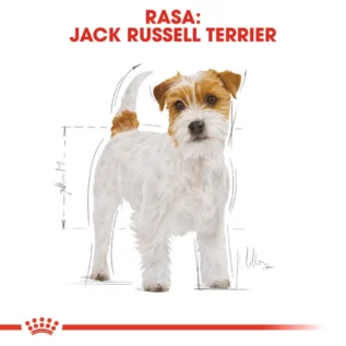 royal-canin-jack-russell-adult royal-canin-jack-russell-adult