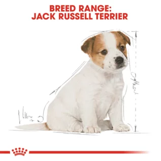 royal-canin-jack-russell-puppy royal-canin-jack-russell-puppy