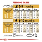 royal-canin-jack-russell-puppy-feeding-table