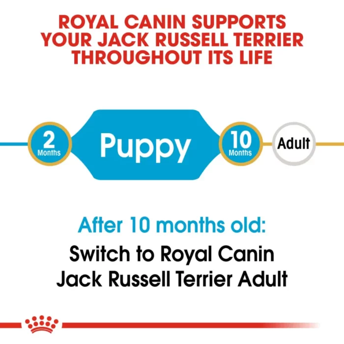 royal-canin-jack-russell-puppy-life royal-canin-jack-russell-puppy-life