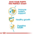 royal-canin-jack-russell-puppy-nutrition