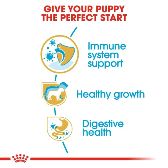 royal-canin-jack-russell-puppy-nutrition royal-canin-jack-russell-puppy-nutrition