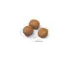 royal-canin-kibble