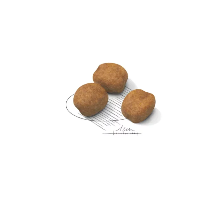 royal-canin-kibble royal-canin-kibble