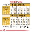 royal-canin-labrador-retriever-puppy-feeding-table