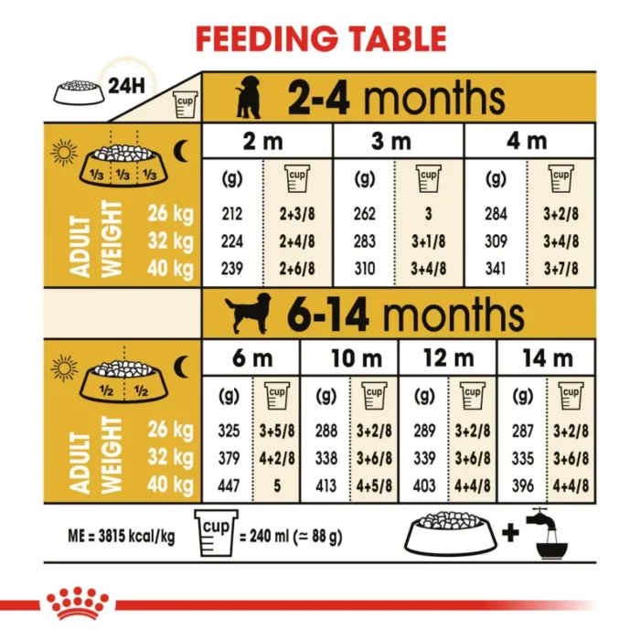 royal-canin-labrador-retriever-puppy-feeding-table royal-canin-labrador-retriever-puppy-feeding-table
