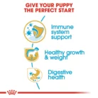 royal-canin-labrador-retriever-puppy-health